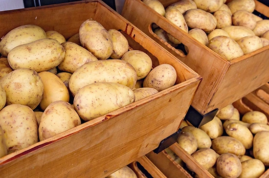 nandikoti_Potato Cold Storage